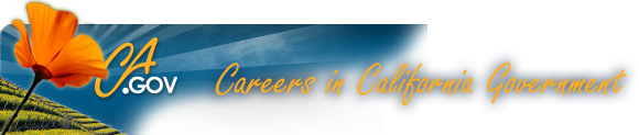 governments-jobs-services-articles-posts-blogging